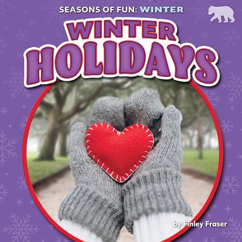 Cover image for Winter Holidays