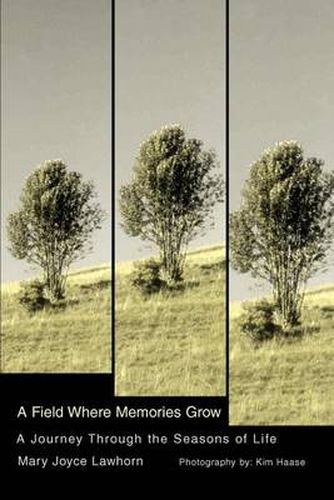 A Field Where Memories Grow:A Journey through the Seasons of Life