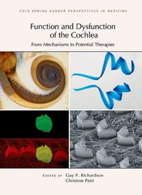 Cover image for Function and Dysfunction of the Cochlea: From Mechanisms to Potential Therapies