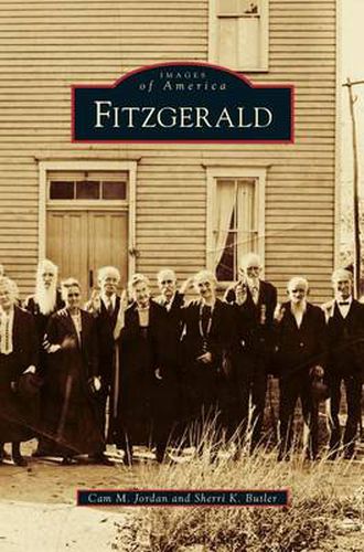 Cover image for Fitzgerald