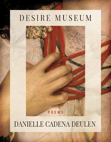 Cover image for Desire Museum