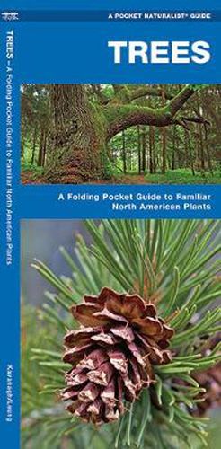 Cover image for Trees: A Folding Pocket Guide to Familiar North American Species