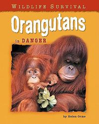 Cover image for Orangutans in Danger