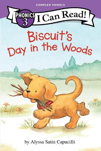 Cover image for Biscuit's Day in the Woods (I Can Read Phonics)