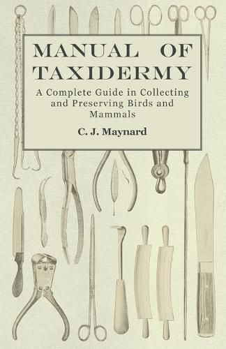 Cover image for Manual of Taxidermy - A Complete Guide in Collecting and Preserving Birds and Mammals