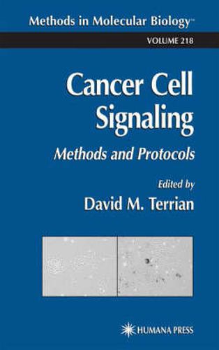 Cover image for Cancer Cell Signaling: Methods and Protocols