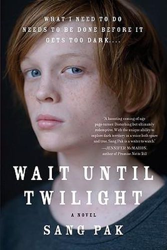 Cover image for Wait Until Twilight