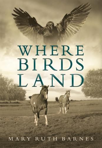 Cover image for Where Birds Land