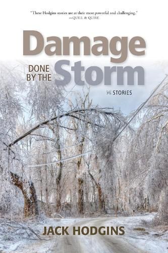 Cover image for Damage Done by the Storm