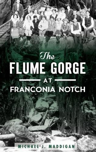 Cover image for The Flume Gorge at Franconia Notch