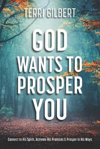 Cover image for God Wants To Prosper You: Connect to His Spirit, Activate His Promises & Prosper in His Ways