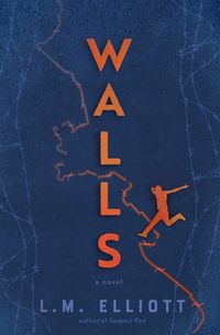 Cover image for Walls