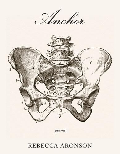 Cover image for Anchor