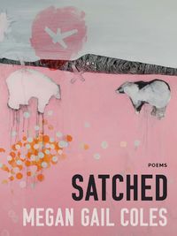 Cover image for Satched