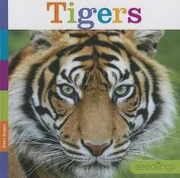 Cover image for Tigers