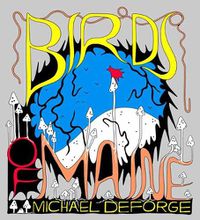 Cover image for Birds of Maine