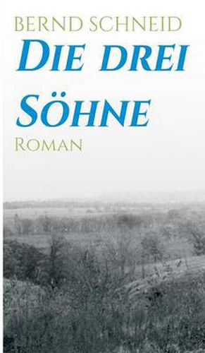 Cover image for Die drei Soehne