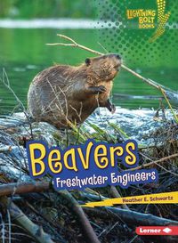 Cover image for Beavers