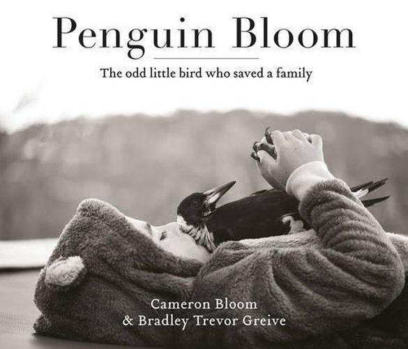 Cover image for Penguin Bloom: The odd little bird who saved a family: The 2017ABIA award-winning, international bestselling sensation & soon to be a major