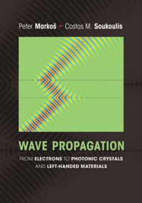 Cover image for Wave Propagation: From Electrons to Photonic Crystals and Left-Handed Materials