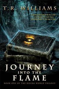 Cover image for Journey Into the Flame: Book One of the