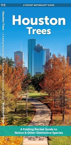 Cover image for Houston Trees: A Folding Pocket Guide to Familiar Plants