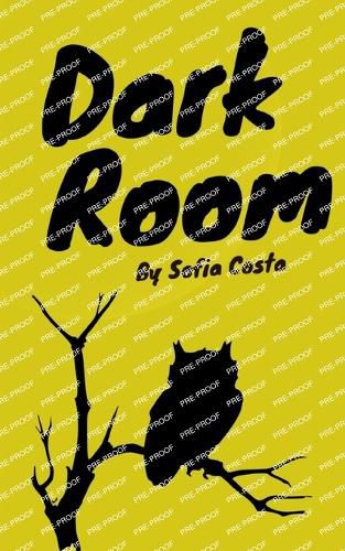 Cover image for Dark Room