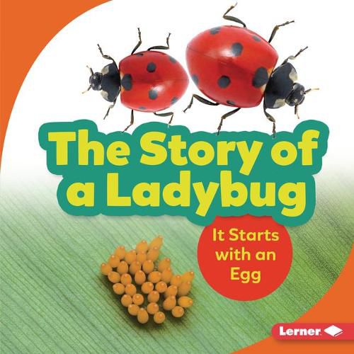 Cover image for The Story of a Ladybug: It Starts with an Egg
