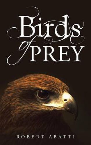 Cover image for Birds of Prey