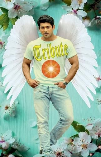 Cover image for Tribute