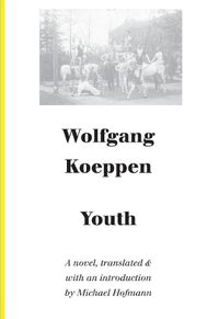 Cover image for Youth - A Novel