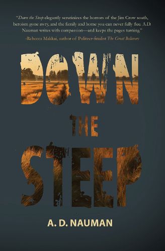 Cover image for Down the Steep