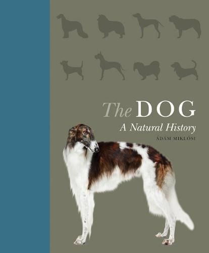 Cover image for The Dog: A Natural History