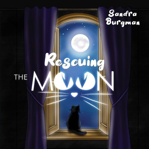 Cover image for Rescuing the moon