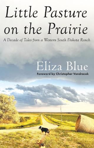 Cover image for Little Pasture on the Prairie