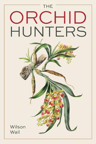 Cover image for Orchid Hunters