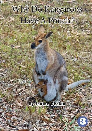 Cover image for Why Do Kangaroos Have A Pouch?