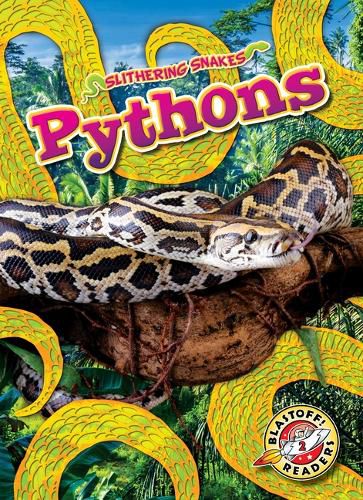Cover image for Pythons
