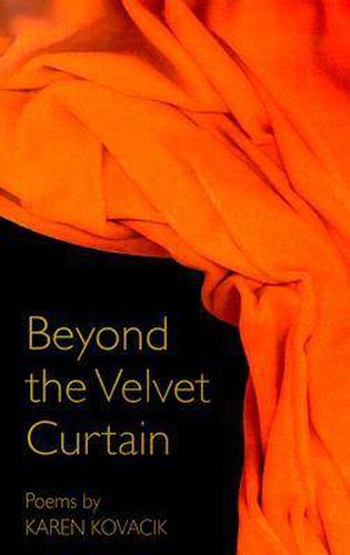 Cover image for Beyond the Velvet Curtain