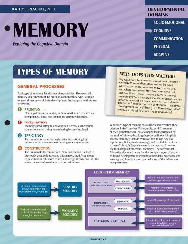 Cover image for Memory