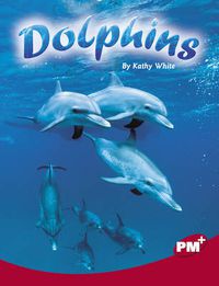 Cover image for Dolphins
