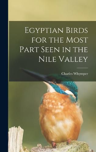 Cover image for Egyptian Birds for the Most Part Seen in the Nile Valley