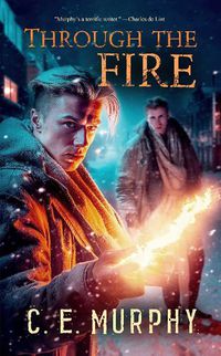 Cover image for Through the Fire