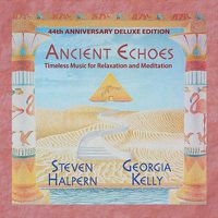 Cover image for Ancient Echoes