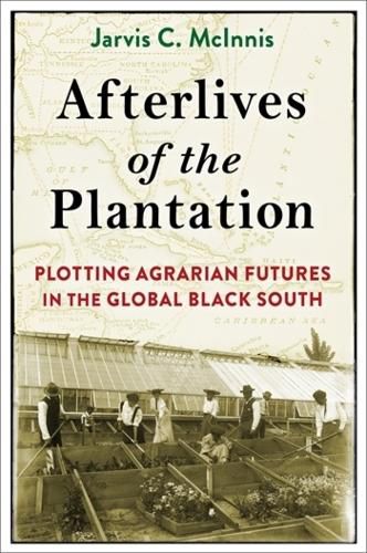 Cover image for Afterlives of the Plantation