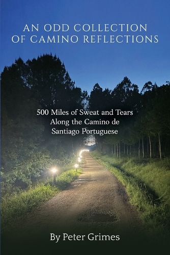 An Odd Collection of Camino Reflections