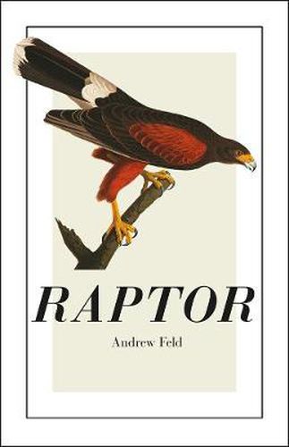 Cover image for Raptor