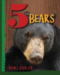 Cover image for 5 Bears