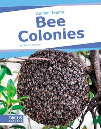 Cover image for Bee Colonies