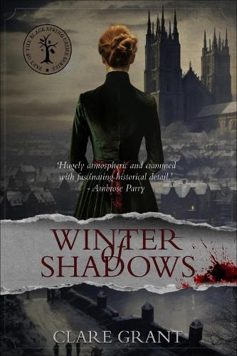 Cover image for Winter of Shadows